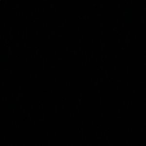 Meet your Posher, Katelyn